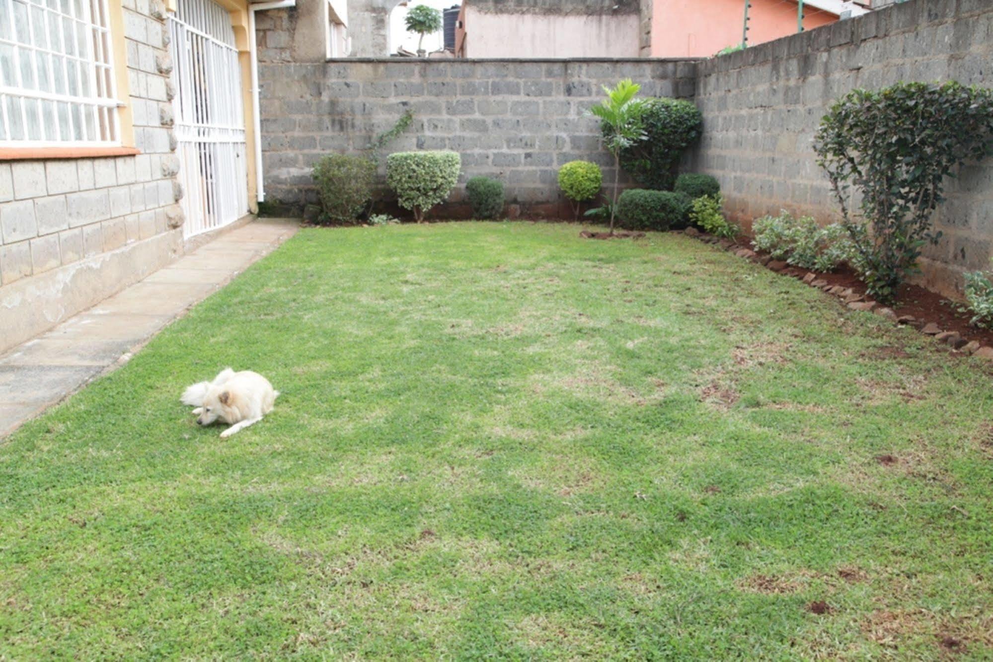 Mdawida Homestay Nairobi Exteriör bild